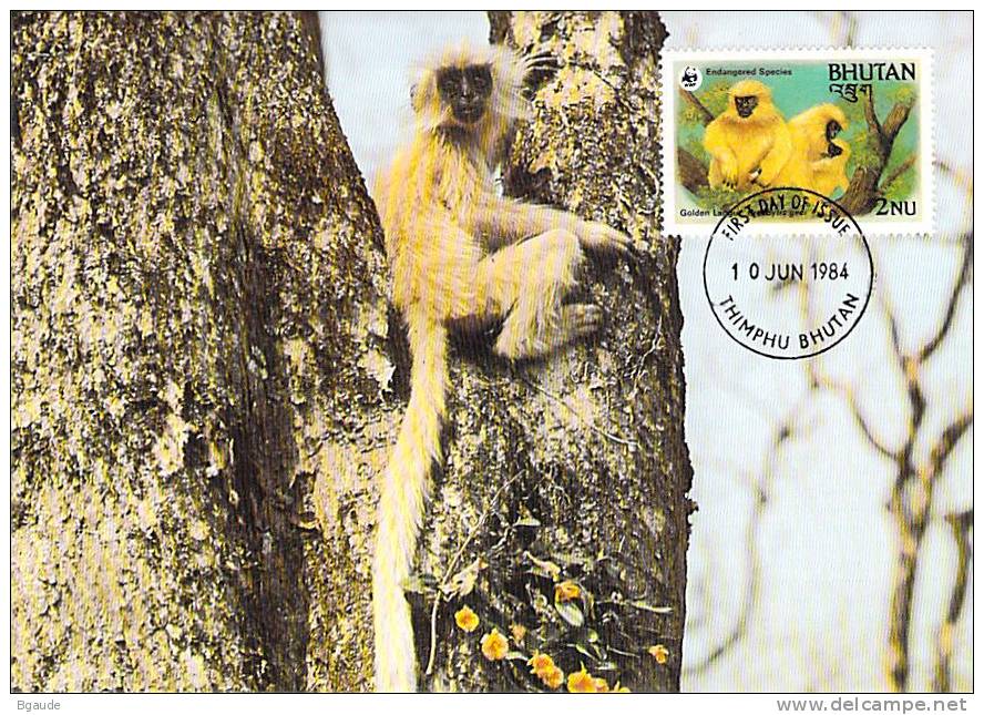BHOUTAN    WWF CARTE MAXIMUM NUM.YVERT 622  PROTECTION DE LA NATURE SINGE - Cartes-maximum