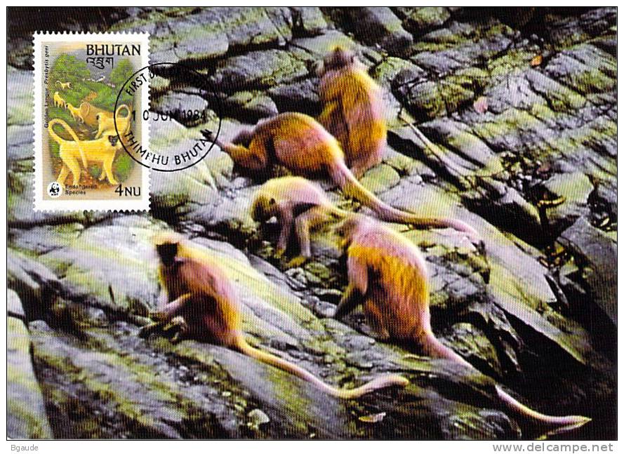 BHOUTAN    WWF CARTE MAXIMUM NUM.YVERT 623  PROTECTION DE LA NATURE SINGE - Cartes-maximum