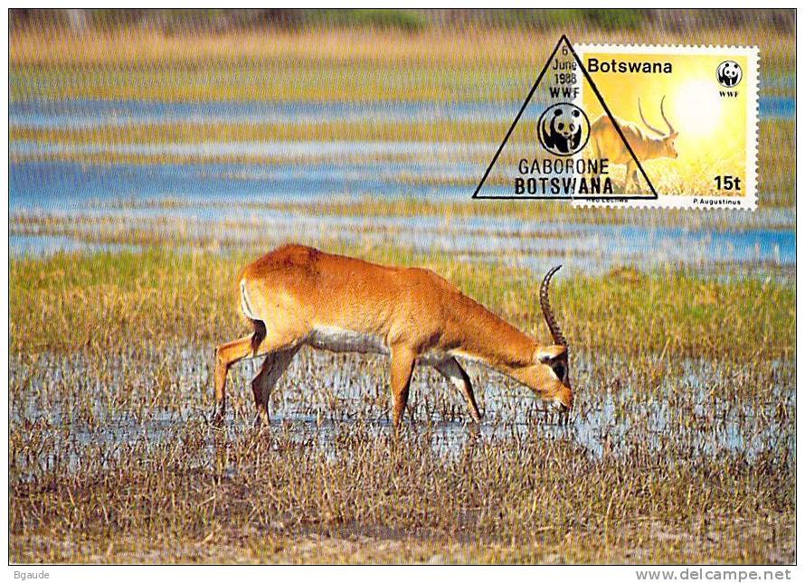 BOSTAWANA     WWF CARTE MAXIMUM NUM.YVERT 580  PROTECTION DE LA NATURE  ANTILOPE ROUGE - Maximumkarten
