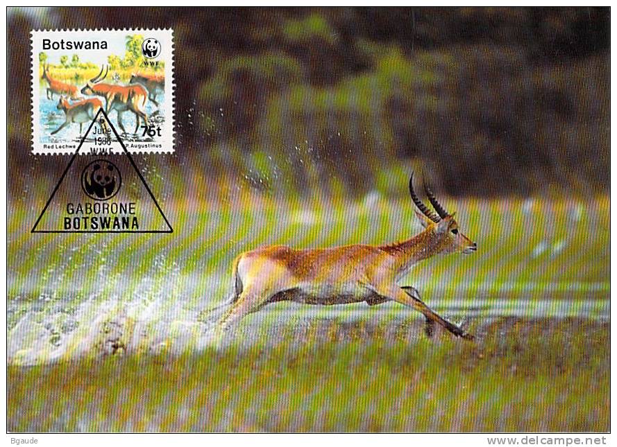 BOSTAWANA     WWF CARTE MAXIMUM NUM.YVERT 582  PROTECTION DE LA NATURE  ANTILOPE ROUGE - Maximumkarten