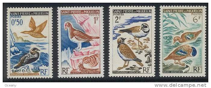 St-Pierre-et-Miquelon - Oiseaux 364/367 ** - Konvolute & Serien