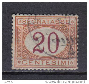 SS6231 - REGNO 1890 , Segnatasse 20  Cent  N. 22 - Strafport