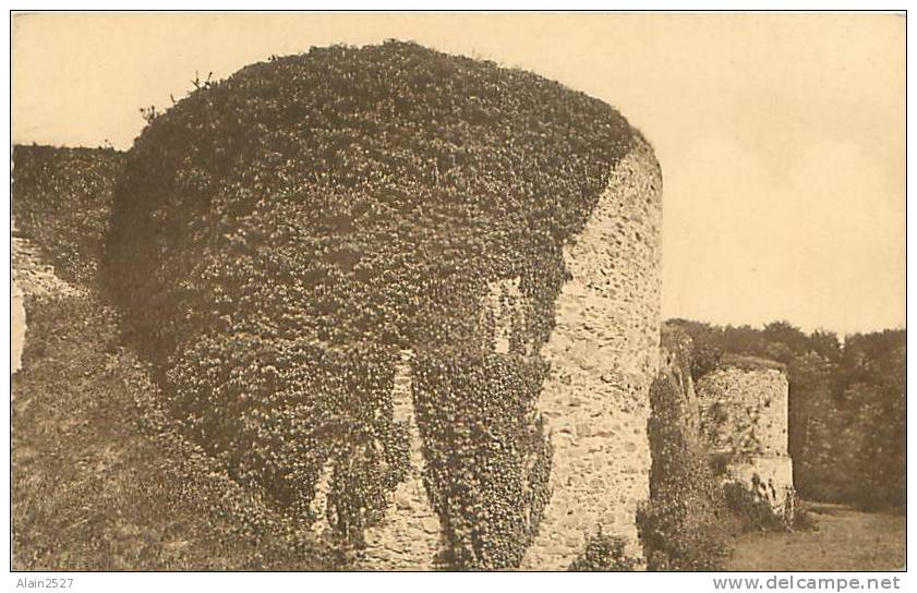 Château De GAESBEEK - Tours Démantelées Du Château Féodal (Nels, 4) - Lennik