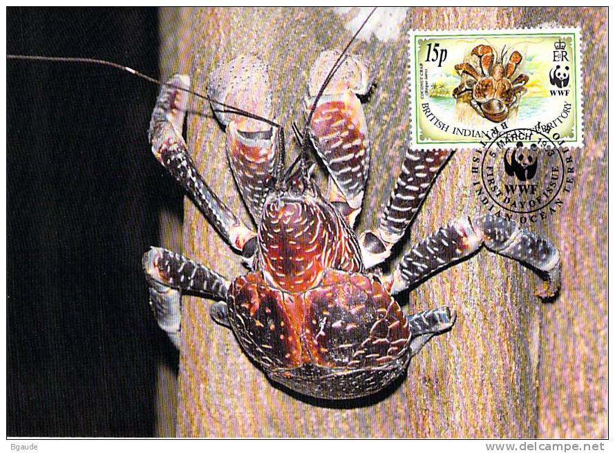 BRITISH OCEAN      WWF CARTE MAXIMUM NUM.YVERT 135  PROTECTION DE LA NATURE CRABE DES COCOTIERS - Maximum Cards