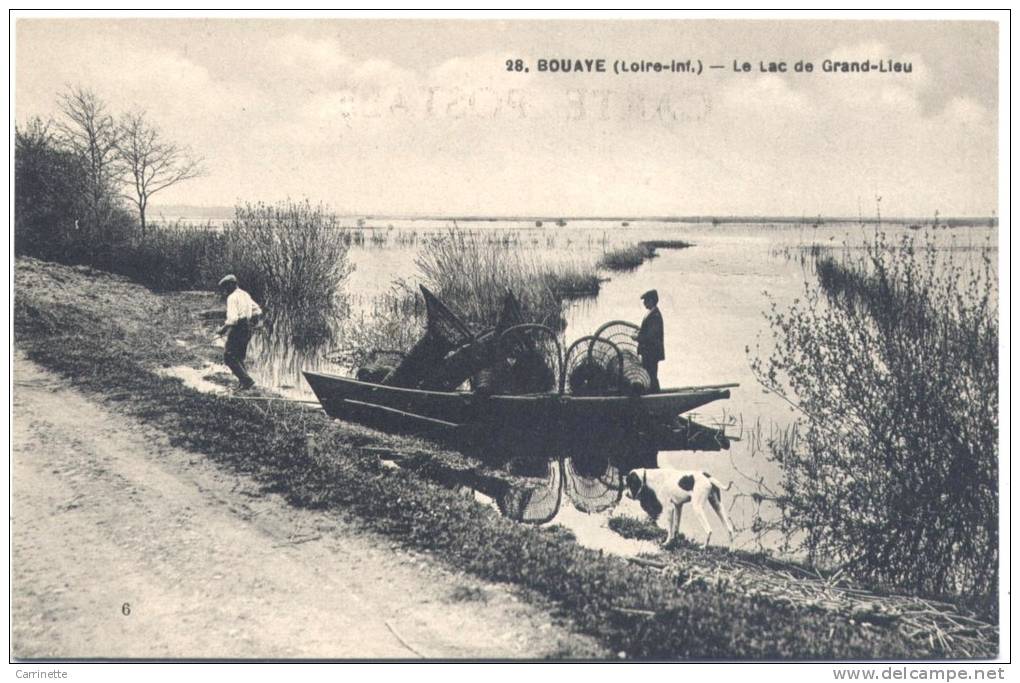 BOUAYE - 44 - Loire Atlantique - Retour De Pêcheurs Au Lac De Grand Lieu - Bouaye