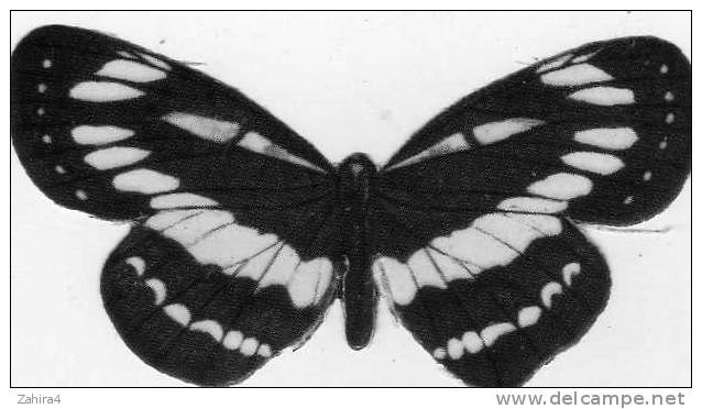 N° 27 - Biscottes  PARE  -  Papillon Nymphale De L´érable - Animales