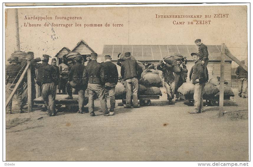 Zeist Utrecht Prisoner Camp WWI 1916 Fourrager Les Pommes De Terre Aardappelen Fourageeren - Zeist