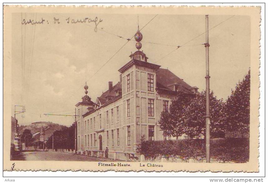 FLEMALLE-HAUTE = Le Château  (vierge) - Flémalle