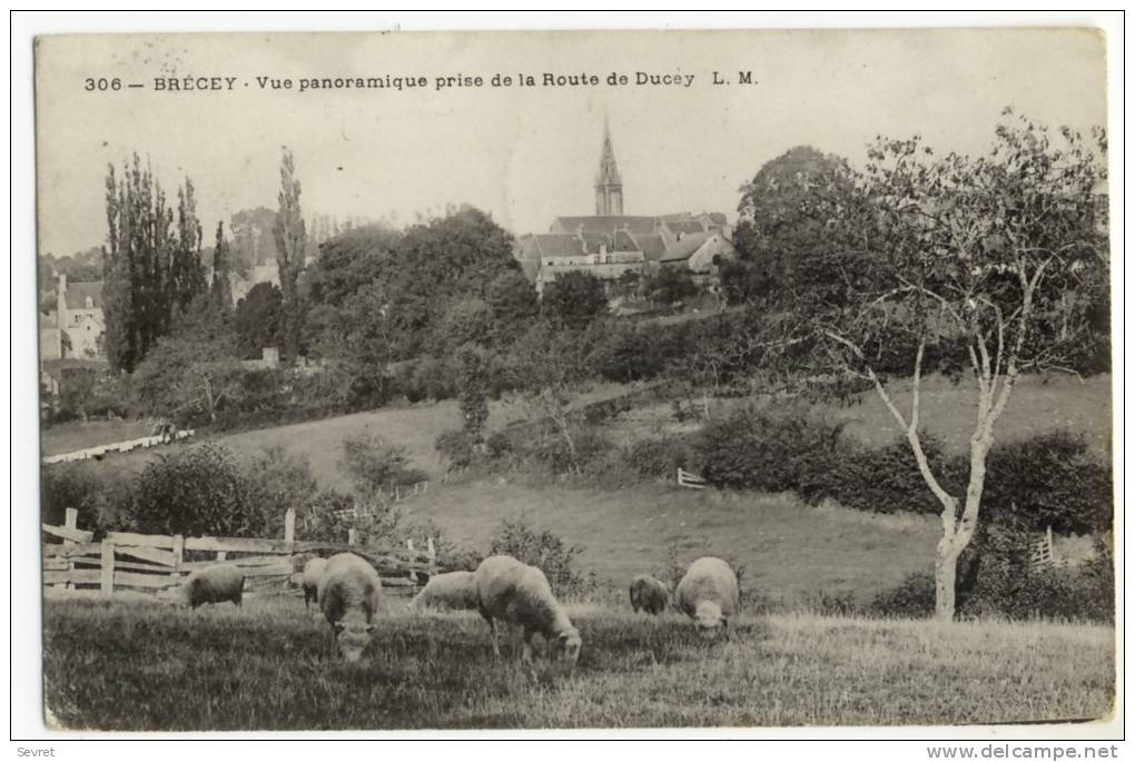 BRECEY. -  Vue Panoramique Prise De La Route De Ducey - Autres & Non Classés