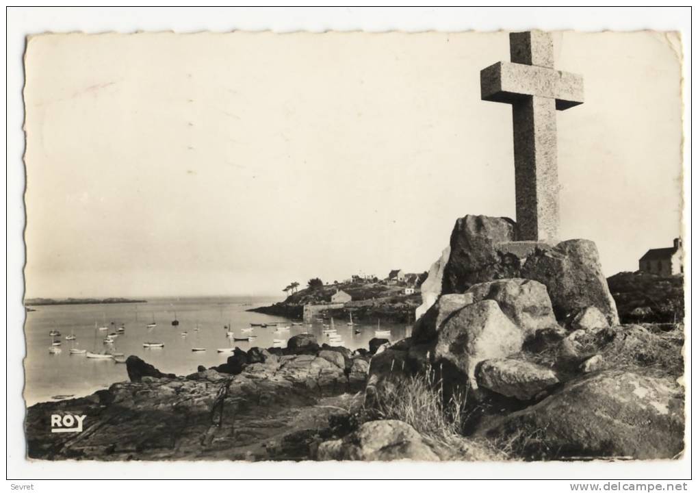 ILES CHAUSEY. - Vue Générale.  CPSM 9x14 - Autres & Non Classés