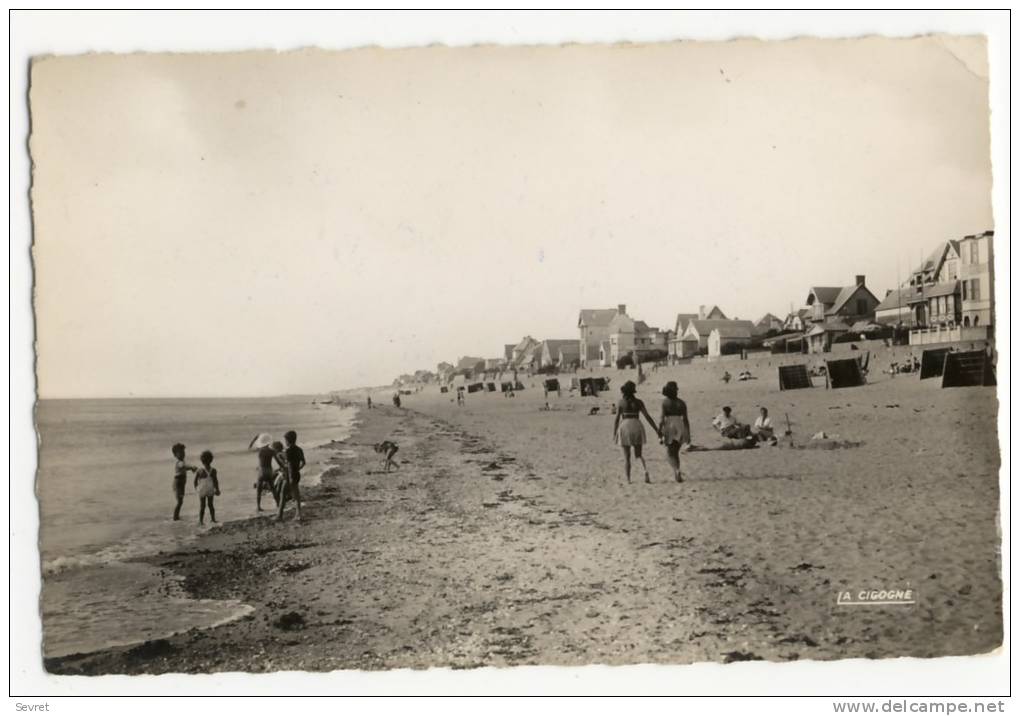 COUTAINVILLE. - La Plage . CPSM 9x14 - Autres & Non Classés