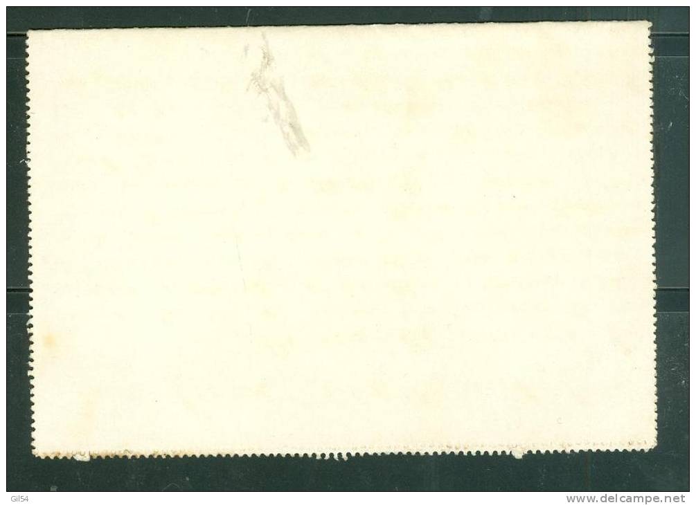 Entier , Stationary ,  5 Centavos Voyagé En 1902  - ( Semble Peu Courant )- Au0101 - Chili