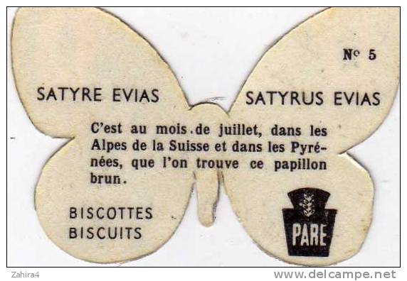 N° 5 - Biscottes  PARE  -  Papillon Satyre Evias - Animales