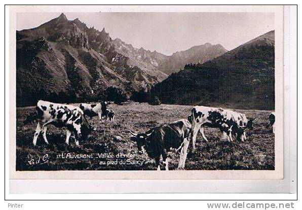 Vallée D'Enfer Au Pied Du Sancy - Autres & Non Classés