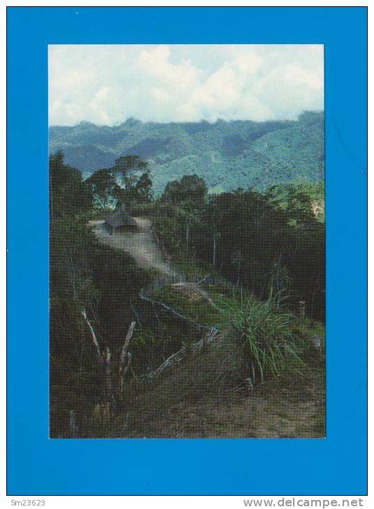 Western  Highlands Province (PN08)  Typical Highlands Village  - 2 Scan - - Papoea-Nieuw-Guinea