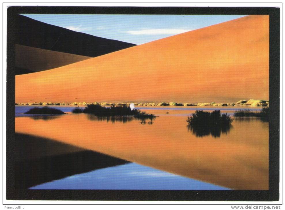 NAMIBIA-NAMIB DESERT DUNE SYMMETRY / THEMATIC STAMP-LEOPARD - Namibië