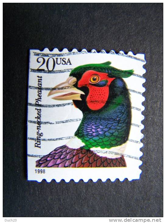 THEME ANIMAUX FAUNE OISEAU GALLINACEE FAISAN USA ETATS UNIS RING-NECKED PHEASANT - Hoendervogels & Fazanten