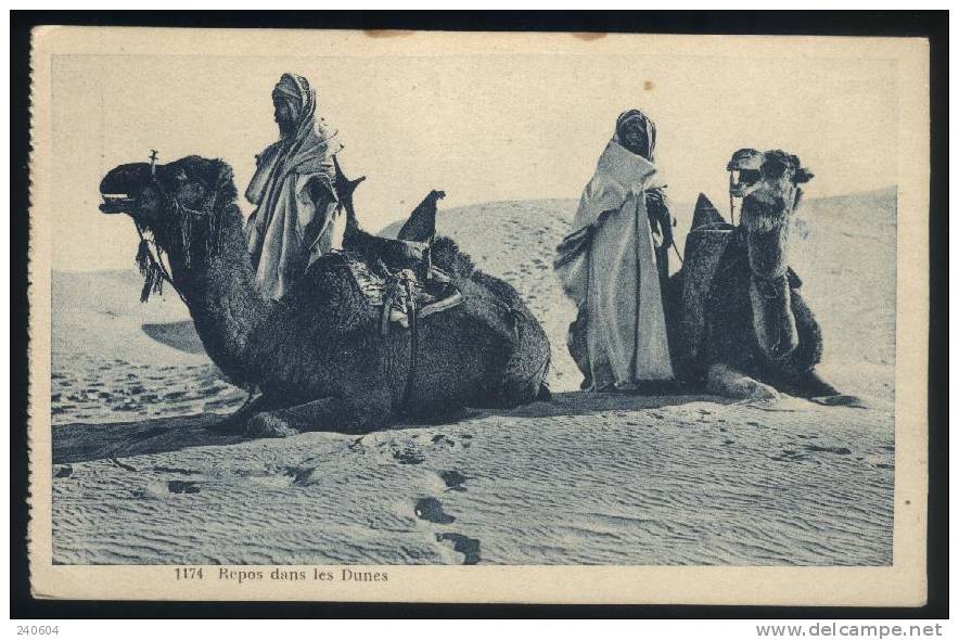 1174  -  Repos Dans Les Dunes - Sahara Occidental