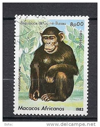 (chimpanzé Animal)       "GUINEE BISSEAU" - Chimpanzees