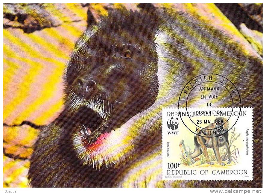 CAMEROUN    WWF CARTE MAXIMUM NUM.YVERT  825  PROTECTION DE LA NATURE SINGE BABOUIN - Cartes-maximum