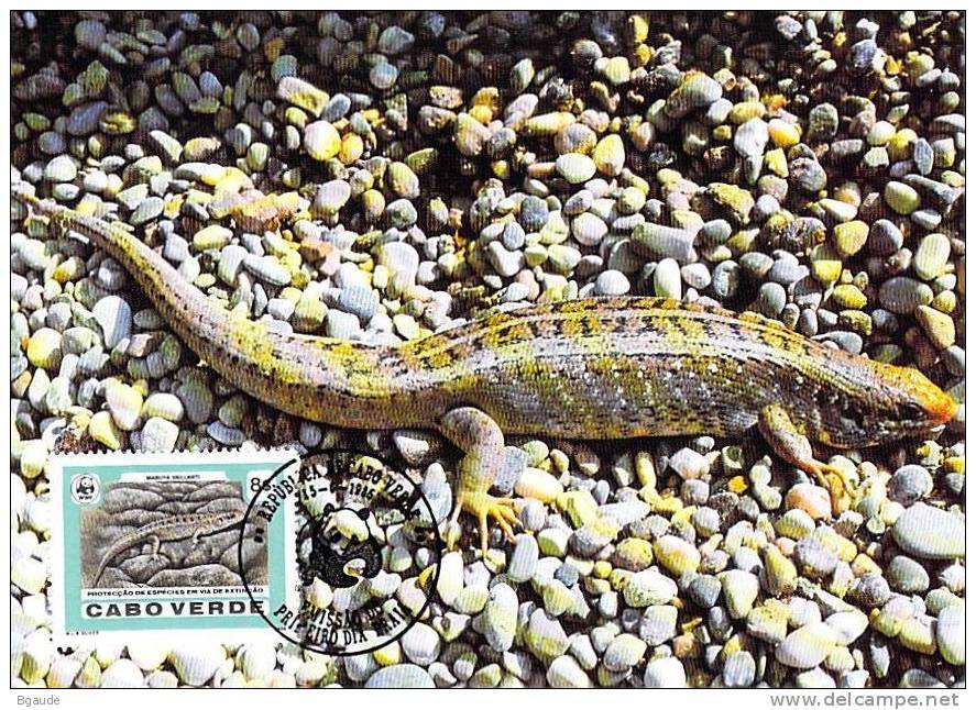 CAP VERT     WWF CARTE MAXIMUM NUM.YVERT  493  PROTECTION DE LA NATURE LEZARD - Cartes-maximum