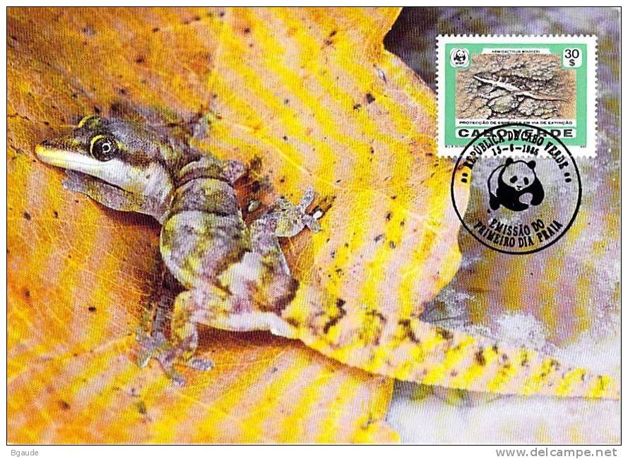 CAP VERT     WWF CARTE MAXIMUM NUM.YVERT  496  PROTECTION DE LA NATURE LEZARD - Cartes-maximum