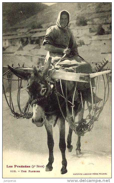 LES PYRENEES . UNE FANEUSE . CPA ANIMEE . 1910 - Autres & Non Classés