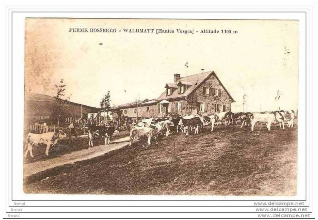 CPA  88 FERME ROSSBERG / WALDMATT  / 1927 - Autres & Non Classés