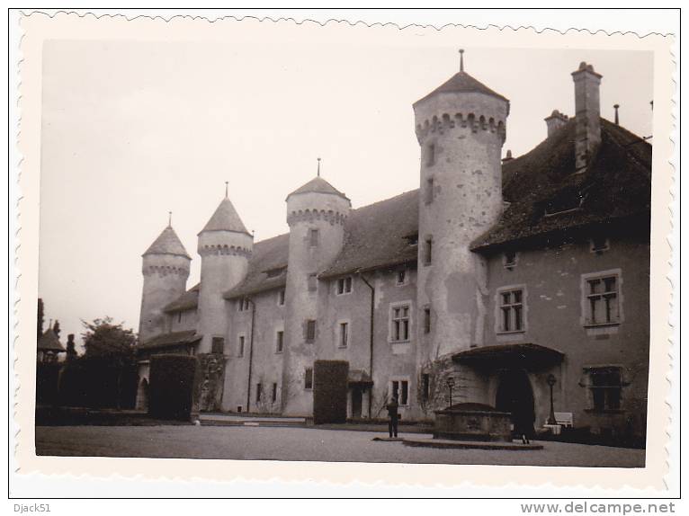 Thonon - Château De Ripaille - 22 Mai 1965 - Lieux