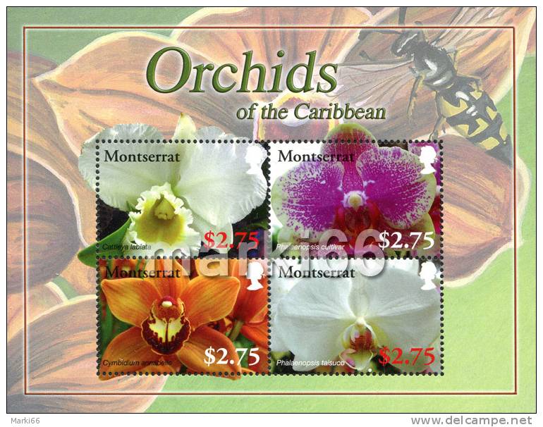 Montserrat - 2008 - Orchids Of The Caribbean - Mint Miniature Sheet - Montserrat