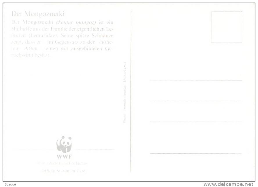 COMORES  WWF CARTE MAXIMUM NUM.YVERT  PA 239  PROTECTION DE LA NATURE  LEMURIEN - Maximumkarten