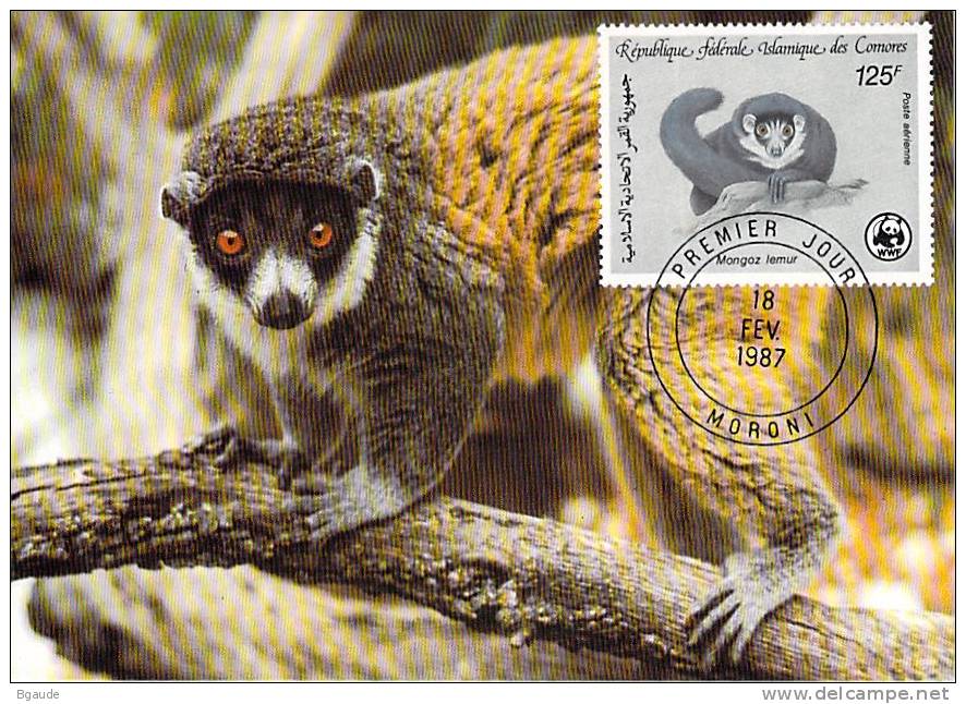 COMORES  WWF CARTE MAXIMUM NUM.YVERT  PA 240  PROTECTION DE LA NATURE  LEMURIEN - Maximumkarten