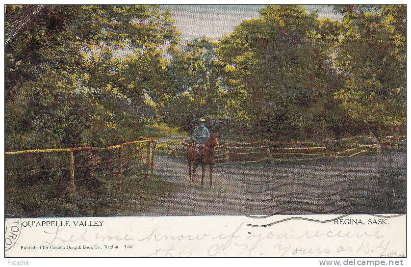 CPA - Qu'Appelle Valley Saskatchewan - Travelled 1906 - Stamp & Postmark - 2 Scans - Andere & Zonder Classificatie