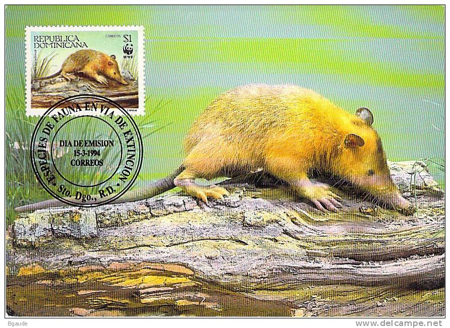 DOMINICAINE REPUBLIQUE   WWF CARTE MAXIMUM NUM.YVERT  1145  PROTECTION DE LA NATURE  SOLENODONTE - Maximum Cards