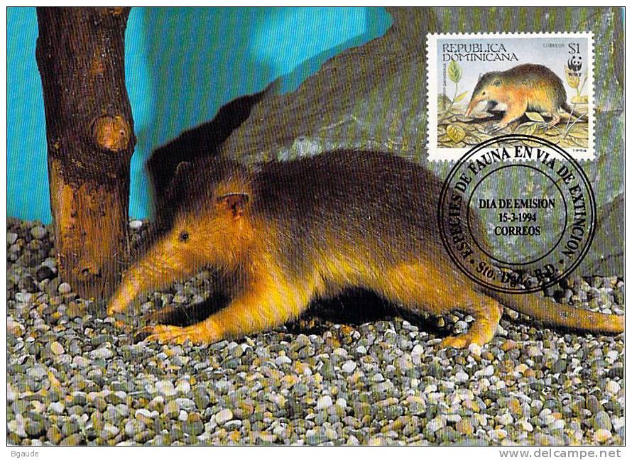 DOMINICAINE REPUBLIQUE   WWF CARTE MAXIMUM NUM.YVERT  1147  PROTECTION DE LA NATURE  SOLENODONTE - Maximumkarten