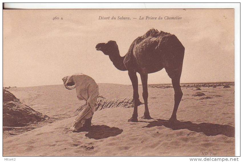 75te-Costumi-Costumes-Religioni-1902-Deserto Sahara-Preghiera Del Cammelliere-affrancat A 5c.Francia - Sahara Occidentale