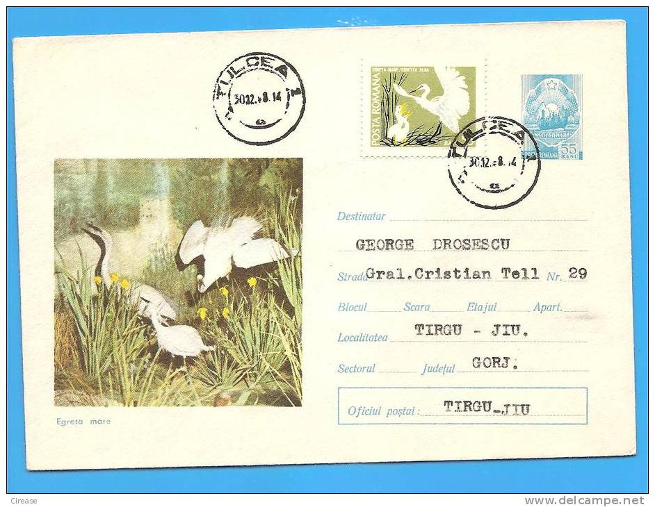 Birds, Bird Of The Delta ROMANIA Postal Stationery  Cover 1971 - Cigognes & échassiers