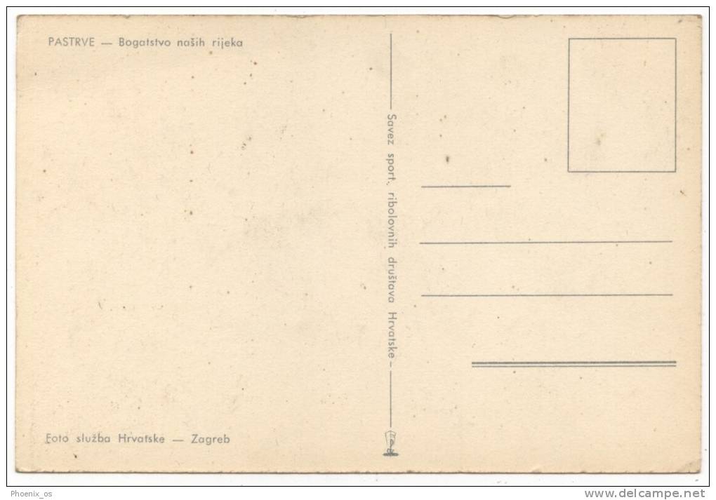 FISH - TROUT, Croatia - Fish & Shellfish