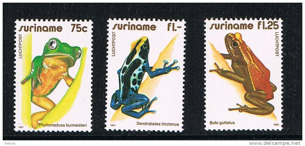 SURINAME  KIKKERS    1981** - Kikkers