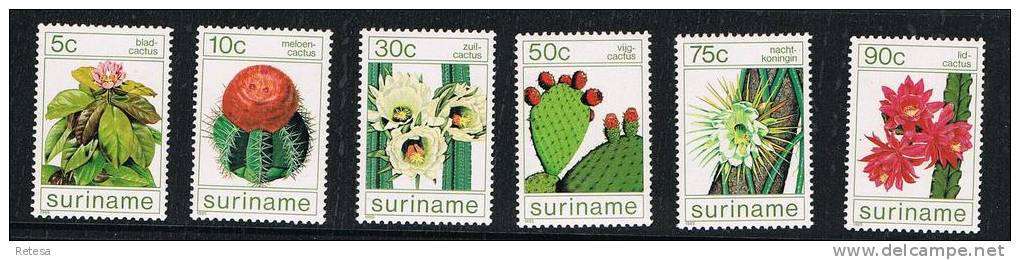 SURINAME  CACTUSSEN  1985 ** - Sukkulenten