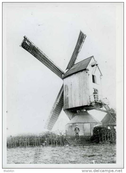 ZANDVLIET (Antwerpen) - Foto/reproductie 18x24 Cm. Van De Verdwenen Spaanse Molen, Naar Oude Foto - Places