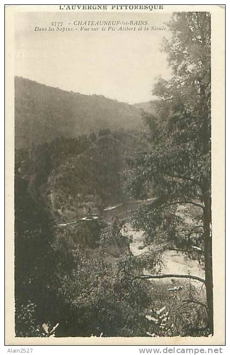 63 - CHATEAUNEUF-les-BAINS - Dans Les Sapins - Vue Sur Le Pic Alibert Et La Sioule (Ed. Idéal, 2777) - Manzat