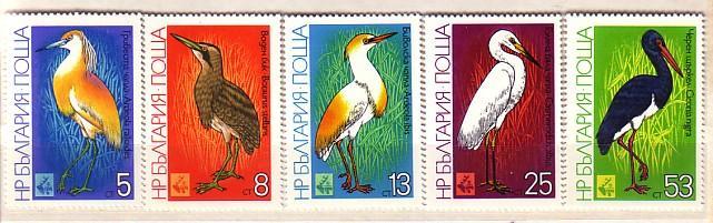 BULGARIA / Bulgarie   BIRDS - EXPO 81   5 V.-MNH** Neuf - Collections, Lots & Series