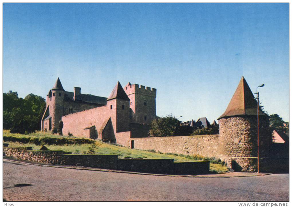 WALCOURT - THY-LE-CHATEAU - Vieux Château ( XIIe Siècle )           (713) - Walcourt