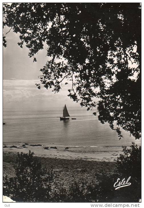 [85] Vendée > Ile De Noirmoutier- Contre-jour Sur La Mer ( Voile Voilier ) - Voir Description * PRIX FIXE - Ile De Noirmoutier