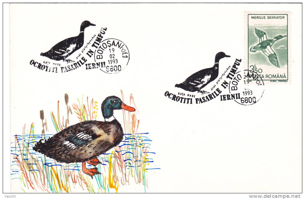 BIRDS -Ducks -CANARDS -  Cover Obliteration Concordante 1993 Romania. - Patos