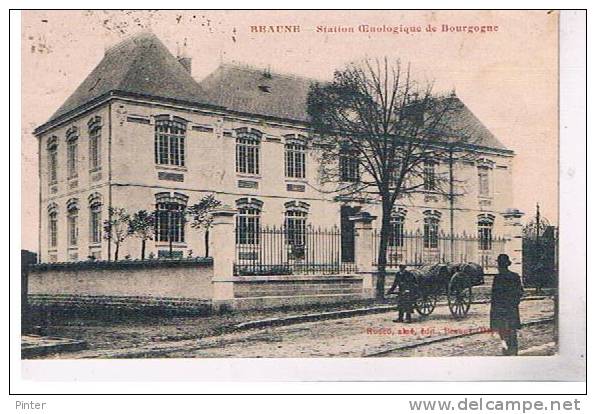 BEAUNE - Station Eonologique De Bourgogne - Beaune