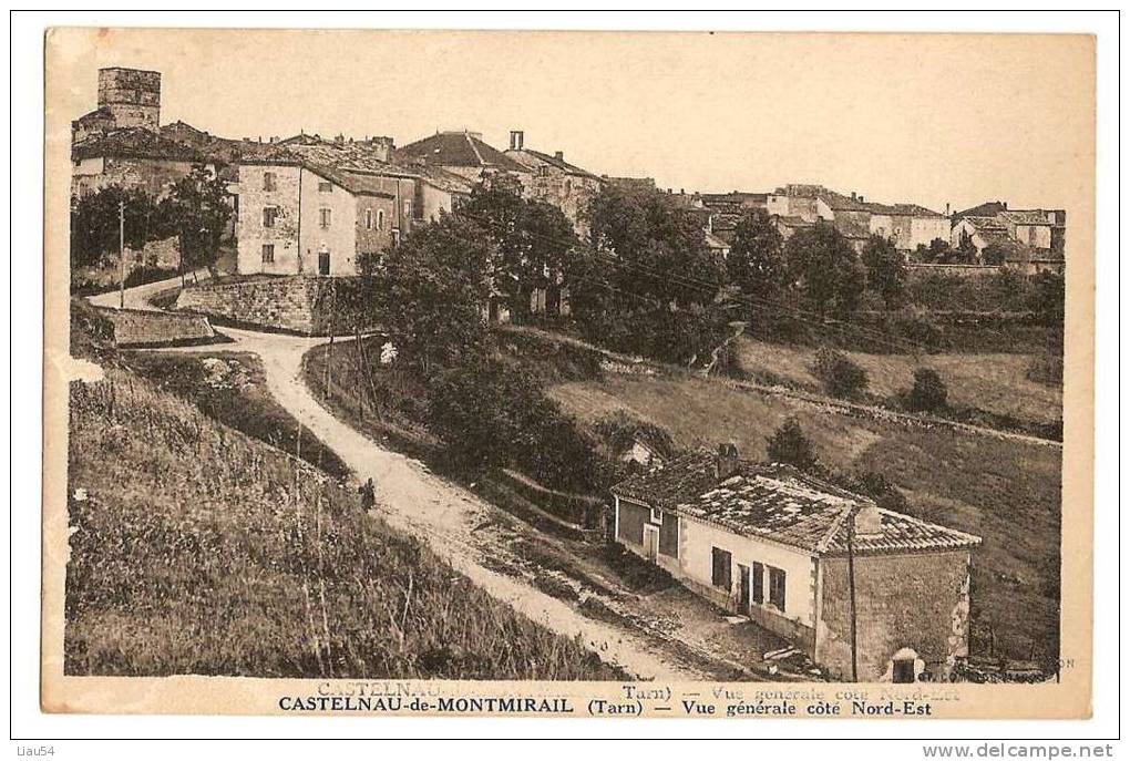 CASTELNAU De MONTMIRAIL Vue Côté Nord-Est - Castelnau De Montmirail