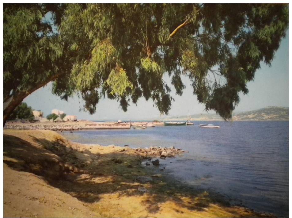 CARTOLINA:GOLFO DI  ARZACHENA - CANNIGIONE     1964     VIAGGIATA - Olbia