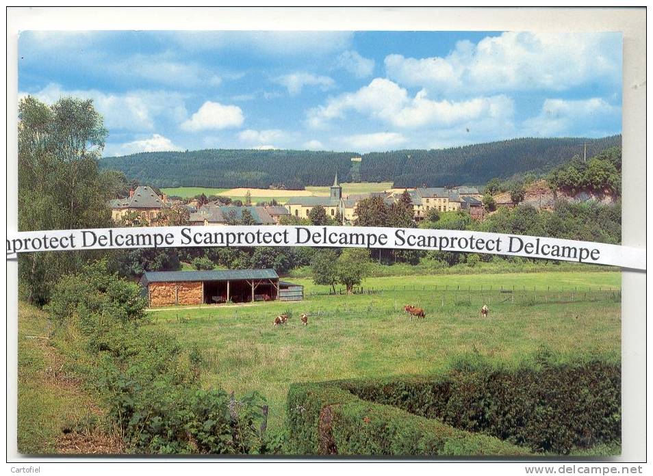 DOHAN-VUE DE LA ROUTE DE MORTEHAN - Bouillon